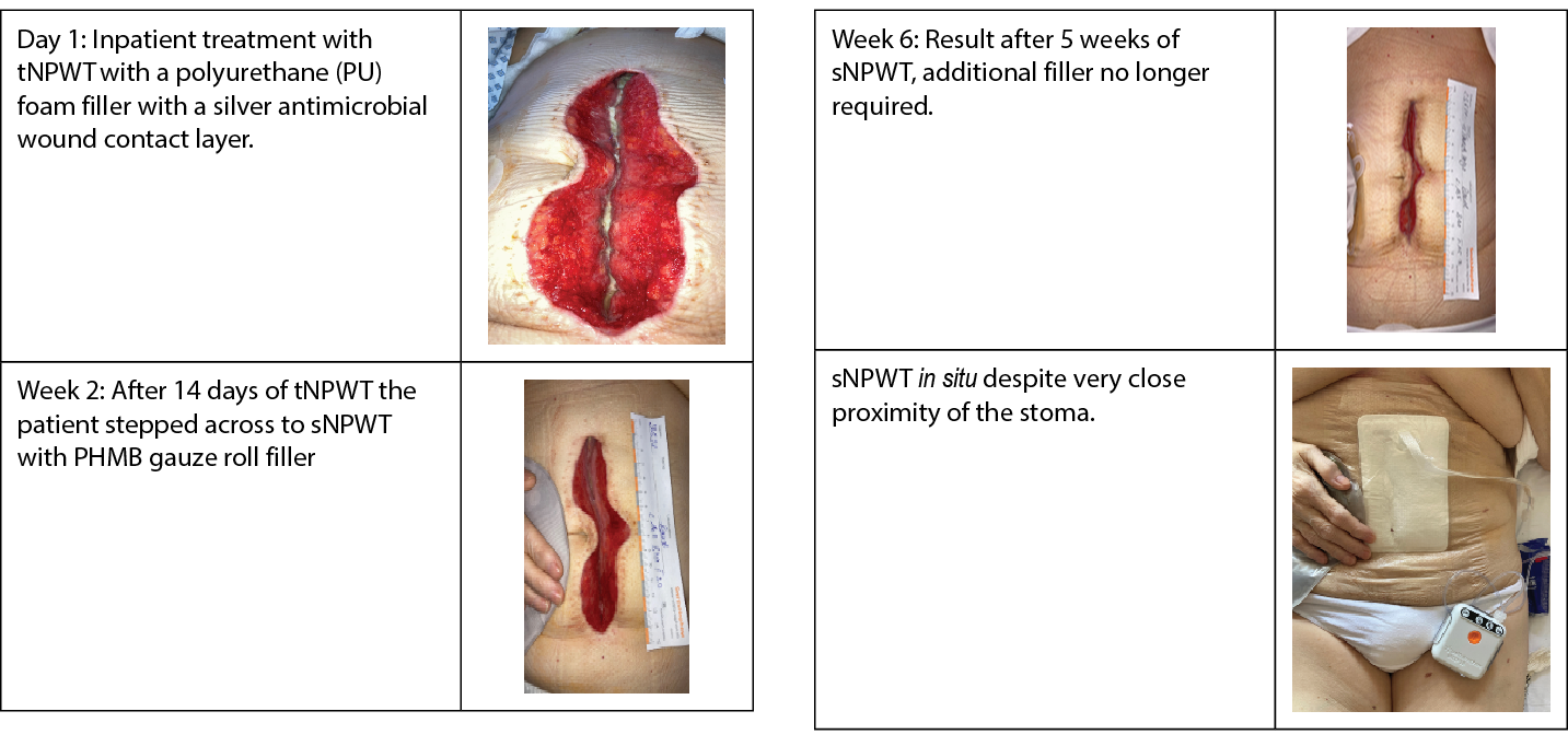 McCarthy fig 3.png